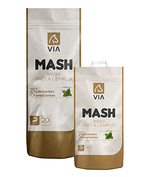 DESTRIER - MASH