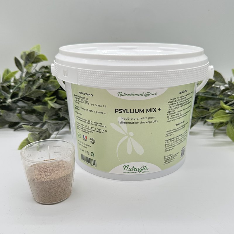 NUTRAGILE - Psyllium Mix+